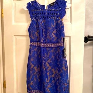 Lulus Royal Blue Lace Dress.
